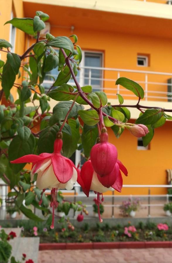 Hotel Vila Oranj Costinesti Zewnętrze zdjęcie